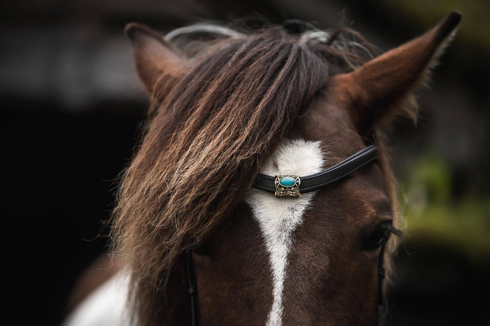 ES Browband "VALENTIN" Turquoise